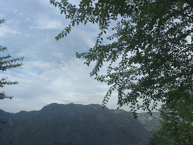 IMG20260510162220