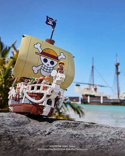 LEGO One Piece
