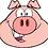 Pua
